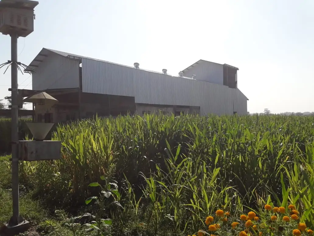 Fasilitas produksi MD Organic yang modern dan bersih.